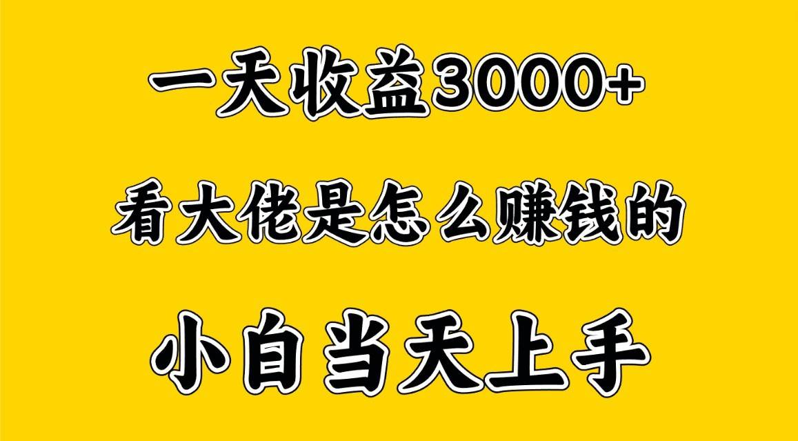 一天赚3000多，大佬是这样赚到钱的，小白当天上手，穷人翻身项目-知享知识库