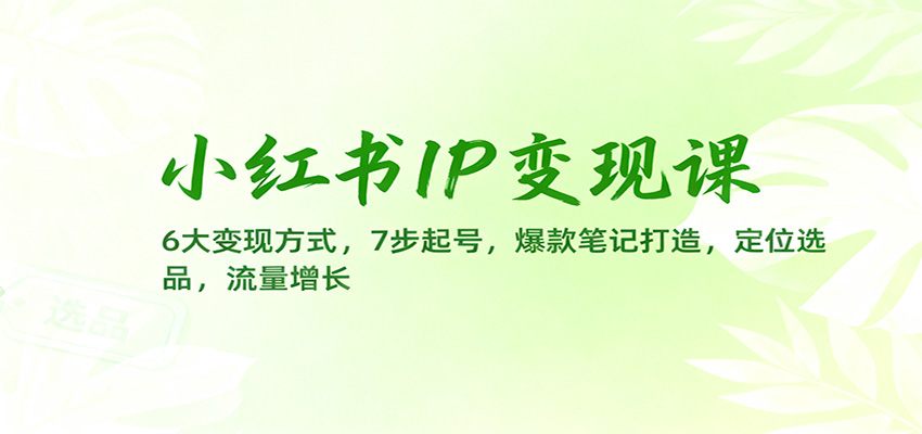 小红书IP变现课:6大变现方式,7步起号,爆款笔记打造,定位选品,流量增长-知享知识库