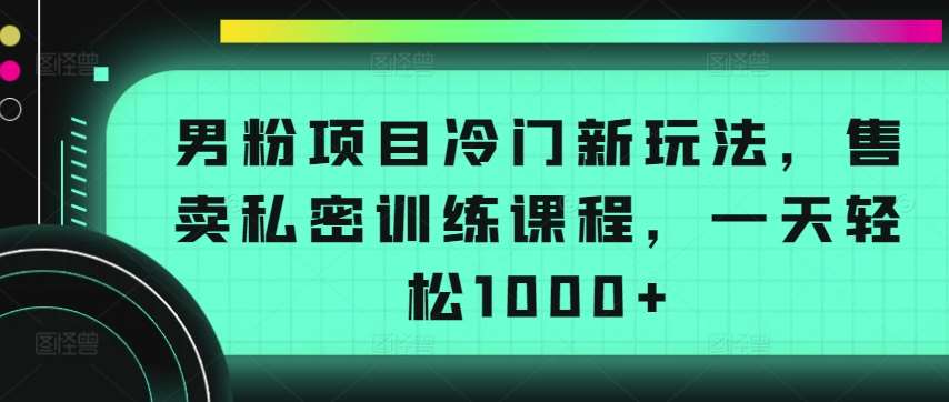 男粉项目冷门新玩法,售卖私密训练课程,一天轻松1000+【揭秘】-知享知识库