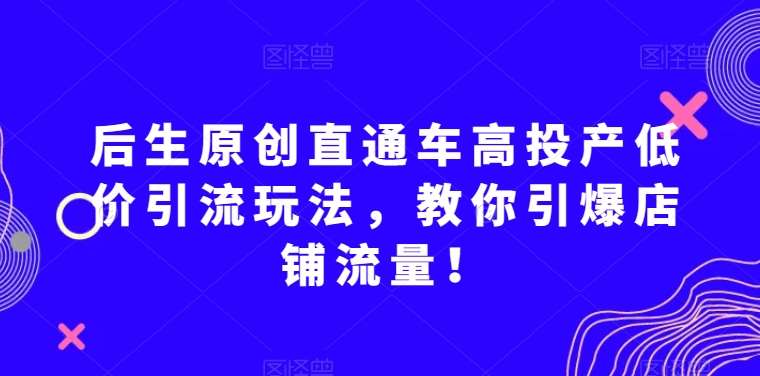 后生原创直通车高投产低价引流玩法，教你引爆店铺流量！-知享知识库