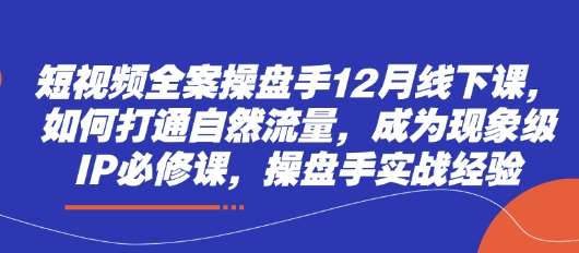 短视频全案操盘手12月线下课，如何打通自然流量，成为现象级IP必修课，操盘手实战经验-知享知识库