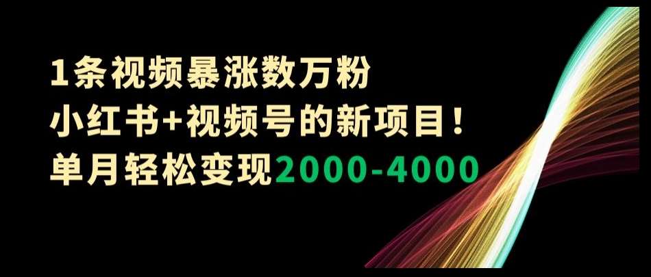 1条视频暴涨数万粉–小红书+视频号的新项目！单月轻松变现2000-4000【揭秘】-知享知识库