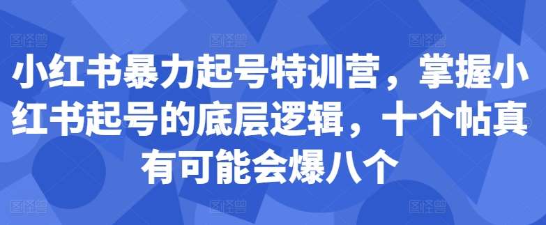 小红书暴力起号特训营，掌握小红书起号的底层逻辑，十个帖真有可能会爆八个-知享知识库