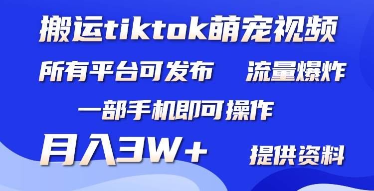 （9618期）搬运Tiktok萌宠类视频，一部手机即可。所有短视频平台均可操作，月入3W+-知享知识库
