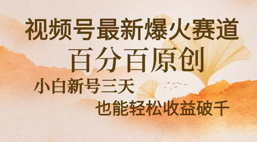 （13225期）视频号最新爆火赛道，中老年粉深信不疑，百分百原创，新号三天收益轻松…-知享知识库
