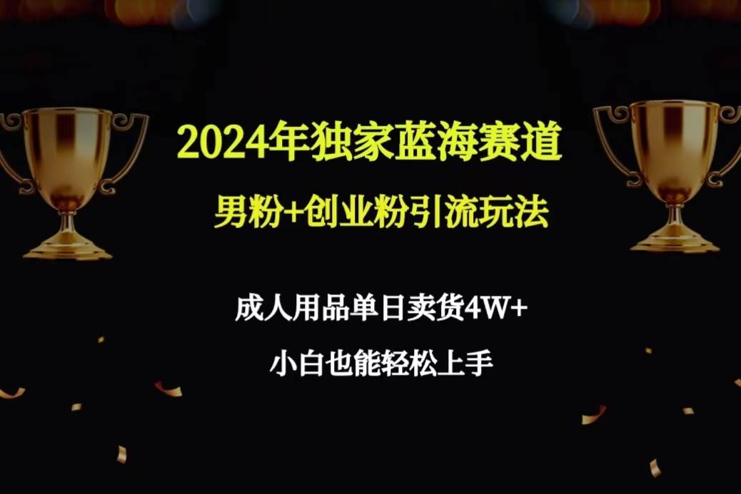 2024年独家蓝海赛道男粉+创业粉引流玩法,成人用品单日卖货4W+保姆教程-知享知识库