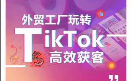 外贸工厂玩转TikTok高效获客，多种引流方式与账号定位技巧，拆解爆款短视频打造成功案例-知享知识库