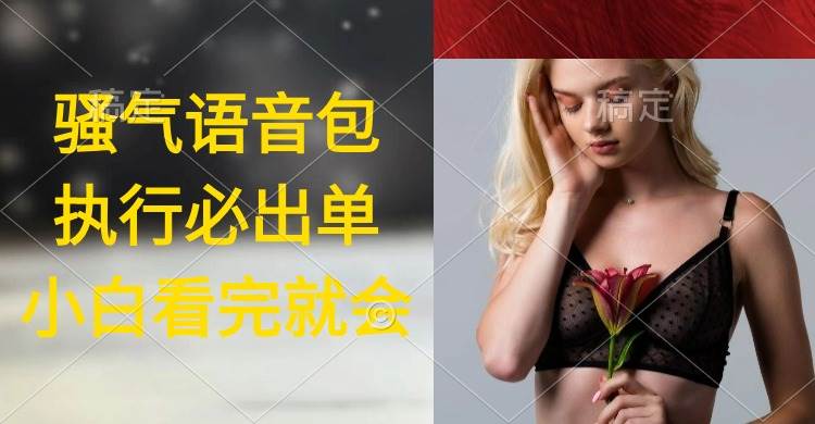 （9589期）执行就出单，日入2000+，超火骚气语音包，小白看完课程就能马上实操-知享知识库