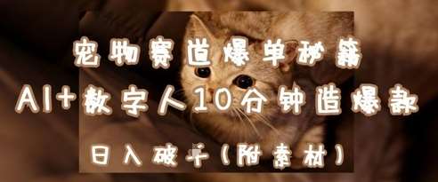 宠物赛道爆单秘籍:AI+数字人10分钟造爆款,日入1k-知享知识库