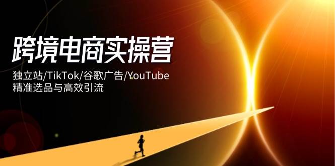 （14419期）跨境电商实操营：独立站/TikTok/谷歌广告/YouTube，精准选品与高效引流-知享知识库