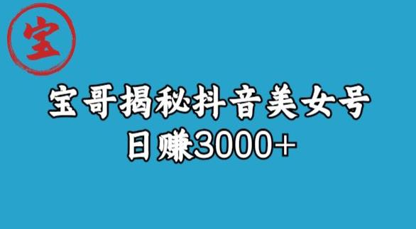 宝哥揭秘抖音美女号玩法,日赚3000+【揭秘】-知享知识库