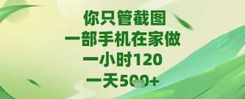 你只管截图，一部手机在家做，苹果安卓都可以，一天5张+【揭秘】-知享知识库