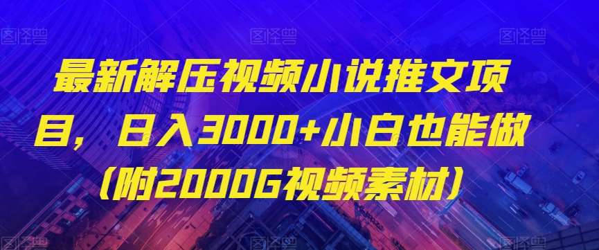 最新解压视频小说推文项目，日入3000+小白也能做（附2000G视频素材）【揭秘】-知享知识库