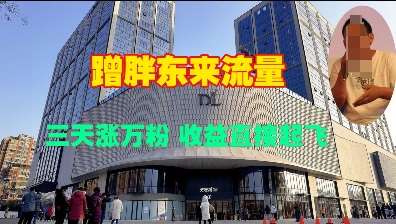 蹭胖东来流量,三天涨万粉,收益直接起飞-知享知识库