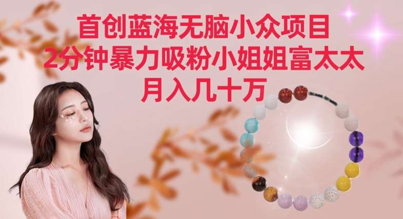 首创蓝海无脑小众项目,2分钟暴力吸粉小姐姐富太太,月入几十万【揭秘】-知享知识库