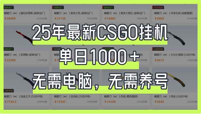 （14178期）25年最新CSGO挂机系统，单日1000+，无需电脑，无需养号，0基础可上手-知享知识库