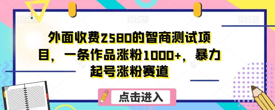外面收费2580的智商测试项目,一条作品涨粉1000+,暴力起号涨粉赛道【揭秘】-知享知识库