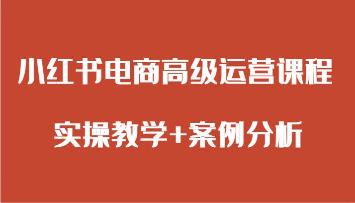 小红书电商高级运营课程 实操教学+案例分析-知享知识库