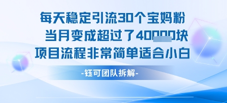 每天稳定引流30个人 当月变成超过了4个W项目流程非常简单适合小白-知享知识库