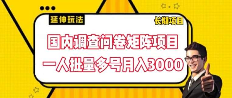 国内调查问卷矩阵项目，一人批量多号月入3000【揭秘】-知享知识库
