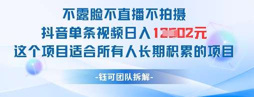 不露脸不直播不拍摄抖音单条视频日入1k+这个项目适合所有人长期积累的项目-知享知识库