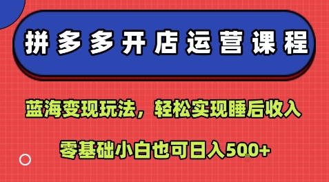 拼多多开店运营课程：蓝海变现玩法，轻松实现睡后收入，零基础小白也可日入5张-知享知识库