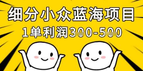 细分小众蓝海项目，一单利润3张，每月收入稳定过1w+-知享知识库