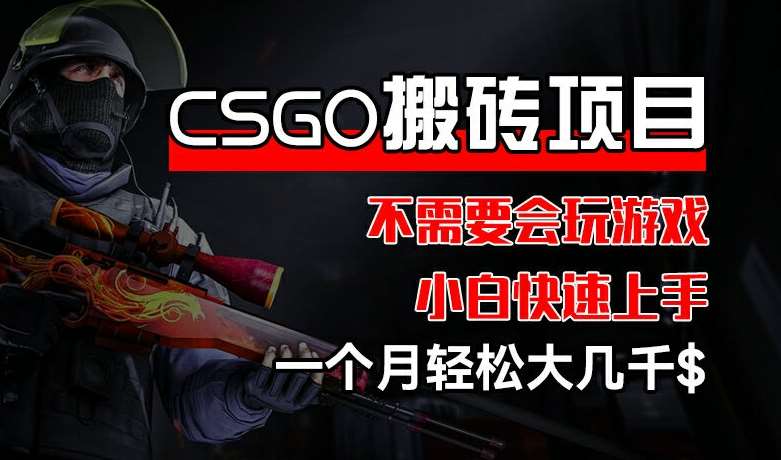 CSGO 装备搬砖项目，操作简单，不需要会玩游戏，小白也能快速上手，一个月轻松大几千【揭秘】-知享知识库