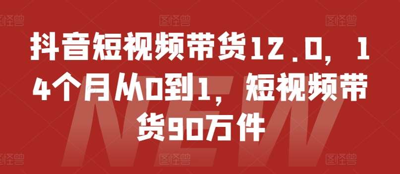 抖音短视频带货12.0，14个月从0到1，短视频带货90万件-知享知识库