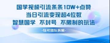 国学视频引流条条10W+点赞当日引流变现超4位数-知享知识库