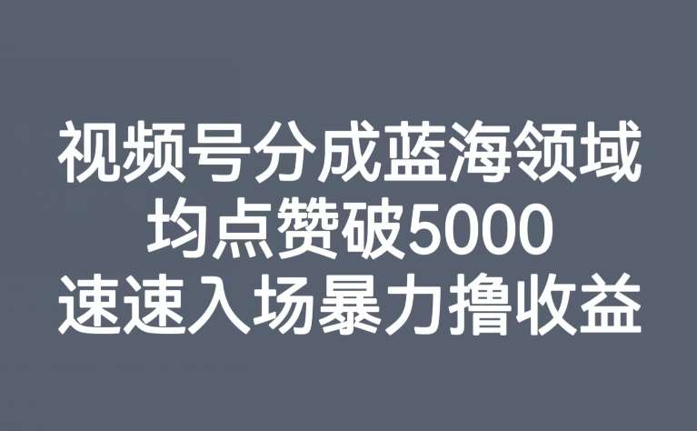视频号分成蓝海领域，均点赞破5000，速速入场暴力撸收益-知享知识库