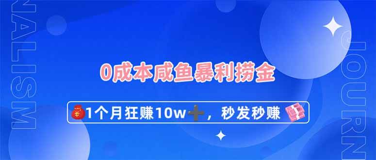（14257期）0成本闲鱼暴利捞金，1个月狂赚10W+，秒发秒赚新玩法-知享知识库