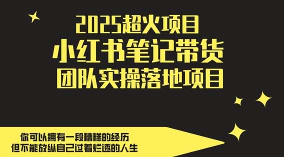 2025超火项目，副业最佳选择，小红书笔记带货团队实操落地项目，，轻松日入5张-知享知识库