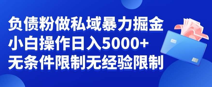 负债粉私域暴力掘金,小白操作入5000,无经验限制,无条件限制【揭秘】-知享知识库