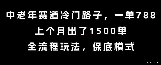中老年赛道冷门路子，一单788，上个月出了1500单，全流程玩法，保底模式【揭秘】-知享知识库
