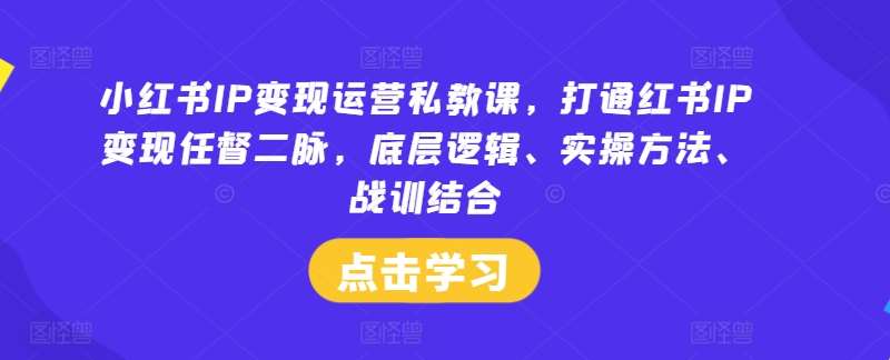 小红书IP变现运营私教课，打通红书IP变现任督二脉，底层逻辑、实操方法、战训结合-知享知识库