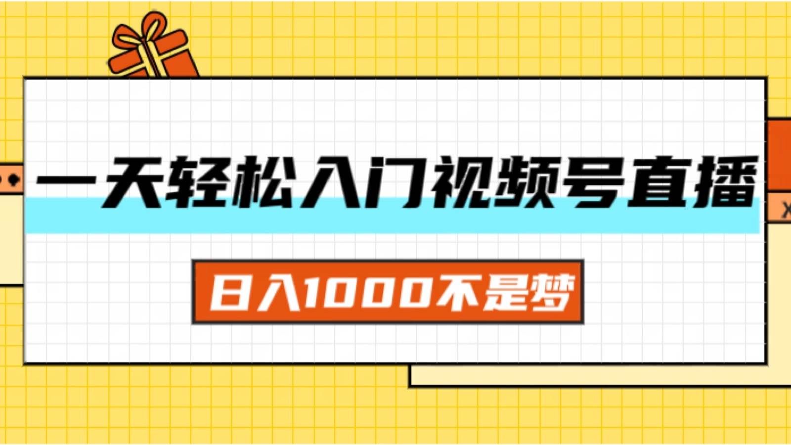 （11906期）一天入门视频号直播带货，日入1000不是梦-知享知识库
