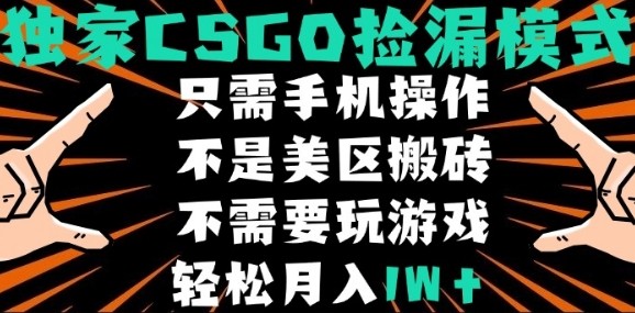 CSGO自动捡漏项目，最新独家玩法，不是美区搬砖，不需要了解和玩游戏，新手小白轻松月入1W+【揭秘】-知享知识库