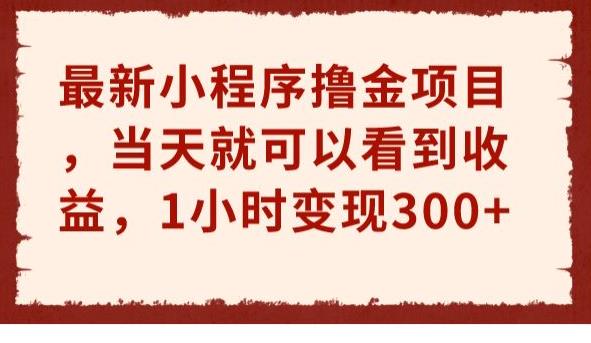 最新小程序撸金项目，当天就可以看到收益，1小时变现300+【揭秘】-知享知识库