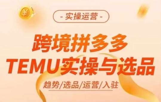 跨境拼多多TEMU实操与选品，多多temu跨境选品运营实操-知享知识库
