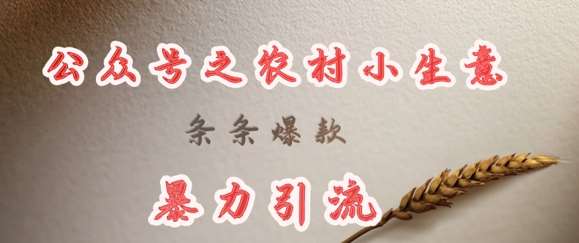 deepseek写农村小项目，条条爆款，暴力引流-知享知识库