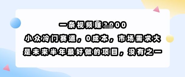 一条视频挣1k，小众冷门赛道，0成本，市场需求大，是未来半年最好做的项目，没有之一-知享知识库