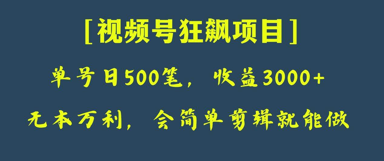 日收款500笔，纯利润3000+，视频号狂飙项目！-知享知识库