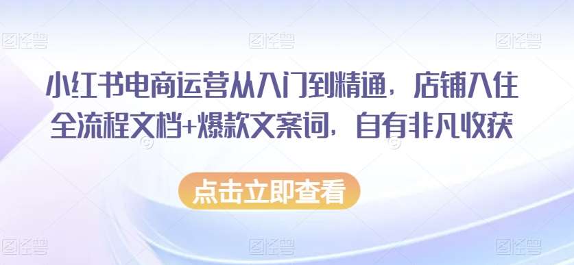 小红书电商运营从入门到精通，店铺入住全流程文档+爆款文案词，自有非凡收获-知享知识库