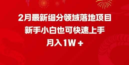 2月最新细分领域落地项目，新手小白也可快速上手，月入1W-知享知识库