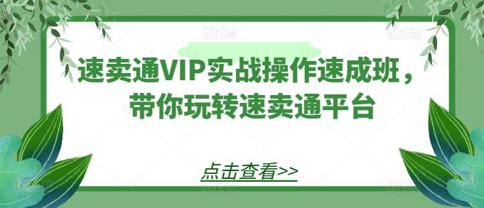 速卖通VIP实战操作速成班，带你玩转速卖通平台-知享知识库