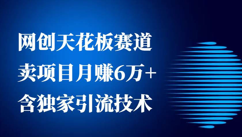 网创天花板赛道，卖项目月赚6万+，含独家引流技术（共26节课）-知享知识库