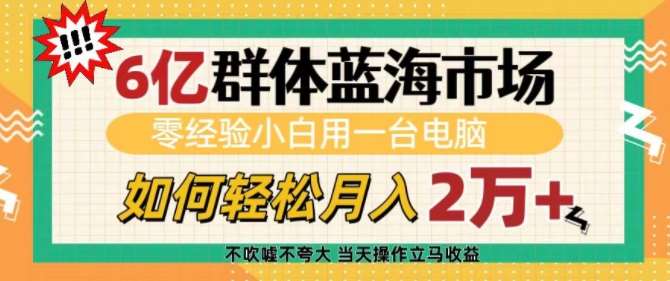 6亿群体蓝海市场，零经验小白用一台电脑，如何轻松月入过w【揭秘】-知享知识库