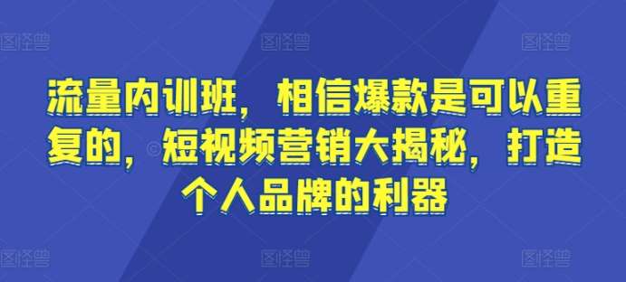 流量内训班，相信爆款是可以重复的，短视频营销大揭秘，打造个人品牌的利器-知享知识库