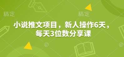 小说推文项目，新人操作6天，每天3位数分享课-知享知识库
